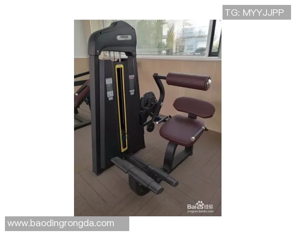 2023年最受欢迎的健身器材品牌排行榜及购买指南推荐