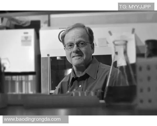 丁克退役的足球明星有哪些他们的职业生涯成就与影响力分析