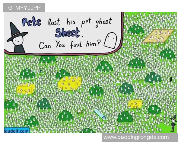 打篮球雪人x猜明星的趣味挑战让你在运动与娱乐中尽情享受乐趣